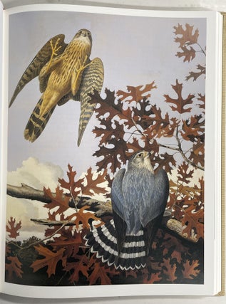 Of Birds and Texas
