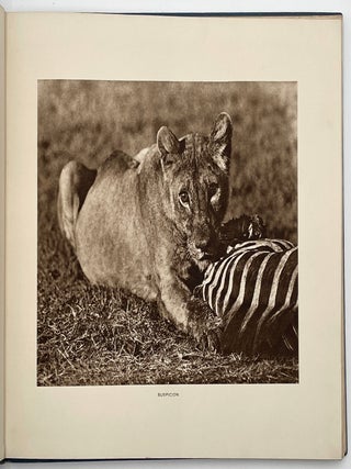 Big Game Photographs from The Times
