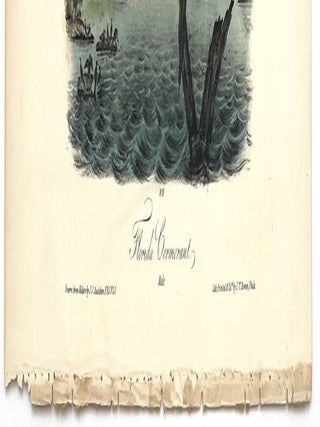 Florida Cormorant: Octavo Print from Audubon’s Birds of America, Circa 1840 – 1844