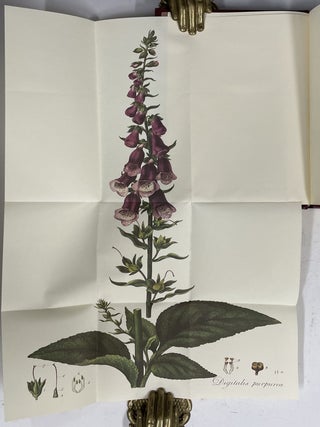 An Account of the Foxglove