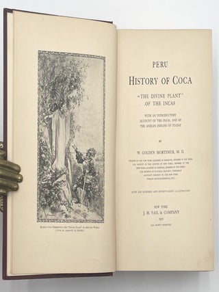 Peru: History of Coca