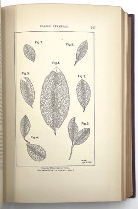 Peru: History of Coca