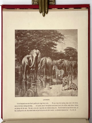 Elephant Hunting in East Equatorial Africa