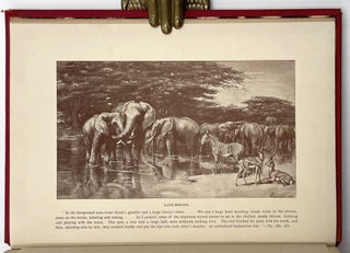 Elephant Hunting in East Equatorial Africa