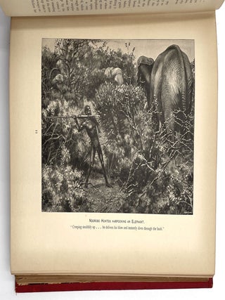 Elephant Hunting in East Equatorial Africa