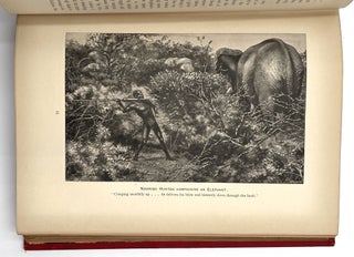 Elephant Hunting in East Equatorial Africa