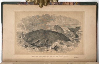 The Whaleman’s Adventures in the Southern Ocean