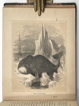 The Whaleman’s Adventures in the Southern Ocean