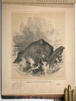 The Whaleman’s Adventures in the Southern Ocean