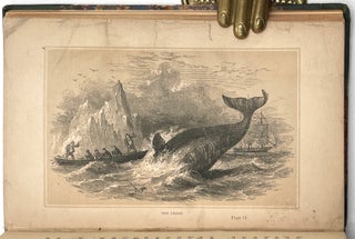 The Whaleman’s Adventures in the Southern Ocean
