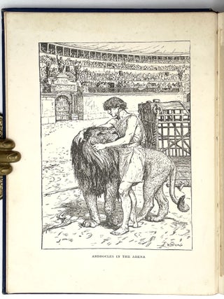 The Animal Story Book