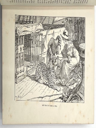 The Animal Story Book