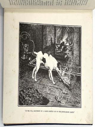 The Animal Story Book