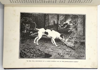 The Animal Story Book