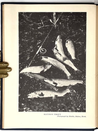 Some Western Fishing
