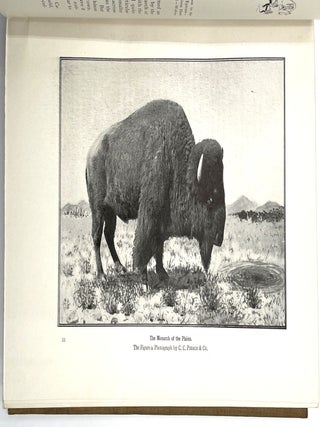Breaking the Wilderness