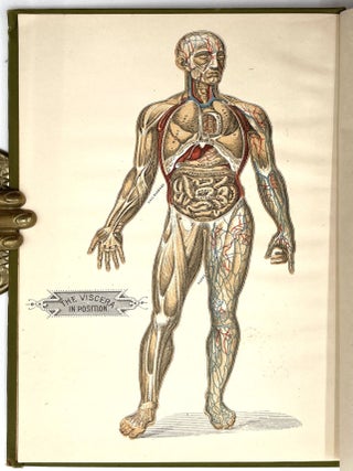 The Laws of Health