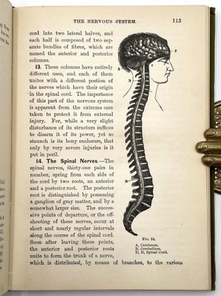 The Laws of Health