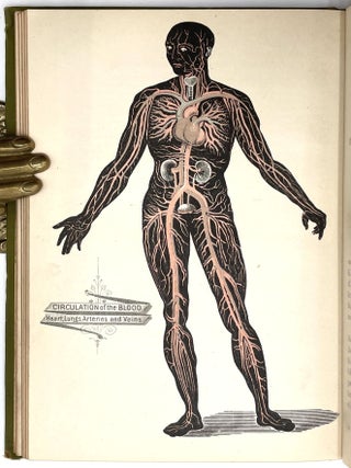 The Laws of Health