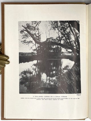 Trout Fishing from All Angles