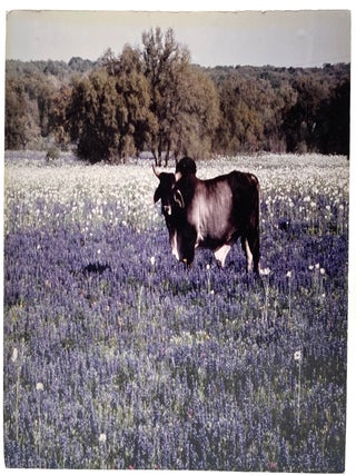 Large Color Photo Inscribed to Akhtar Hussein, 1984