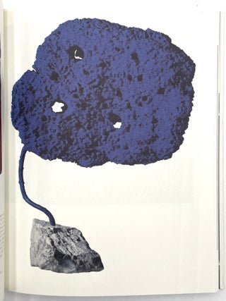 Yves Klein: USA