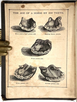 The New American Pocket Farrier and Farmer's Guide