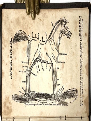 The New American Pocket Farrier and Farmer's Guide