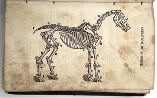 The New American Pocket Farrier and Farmer's Guide