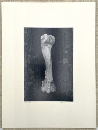 Radius 1974 Awards Portfolio
