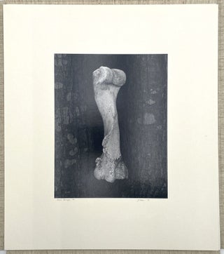 Radius 1974 Awards Portfolio