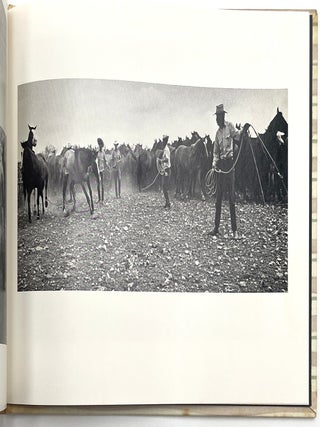 Vaquero: Genesis of the Texas Cowboy