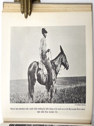 The Negro Cowboys