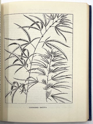The Book of Grass
