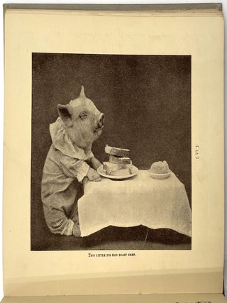 The Animal Mother Goose