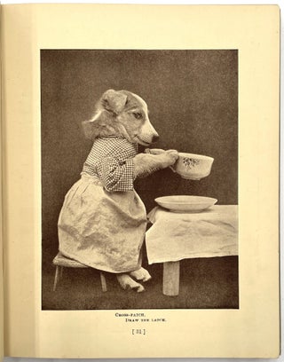 The Animal Mother Goose
