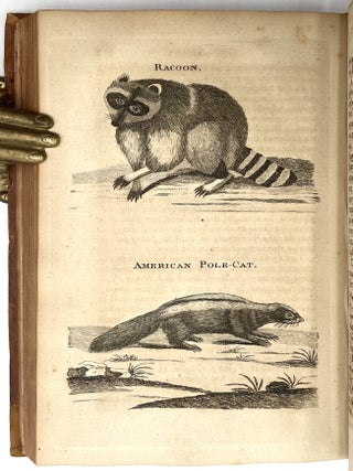 Travels into North America, 2 Vols.