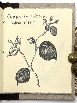 Cultivated Plants of the Ranunculaceae Family [Miniature Books]