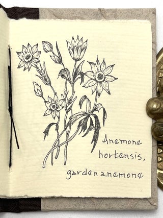 Cultivated Plants of the Ranunculaceae Family [Miniature Books]