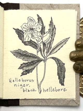 Cultivated Plants of the Ranunculaceae Family [Miniature Books]