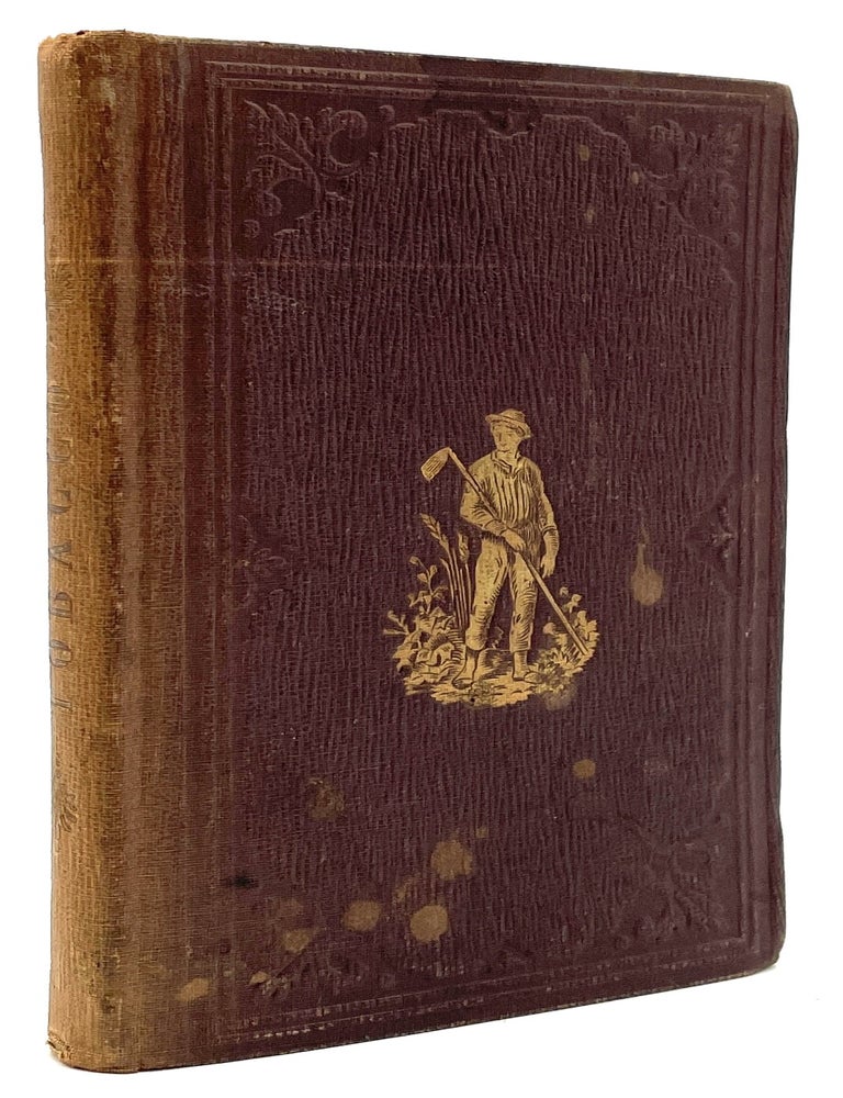 Item #3336 Tobacco; What it Is, and What it Does [First Edition]. Dan King.