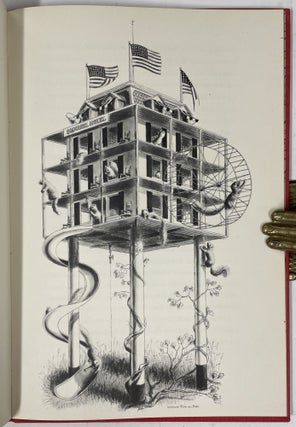 Squirrel Hotel