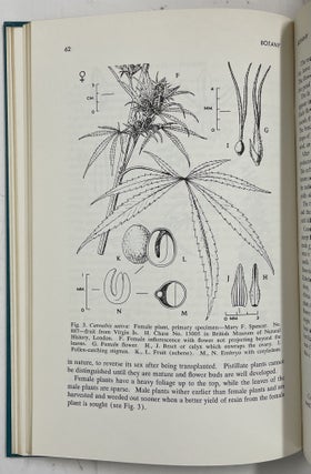 Marihuana - Deceptive Weed