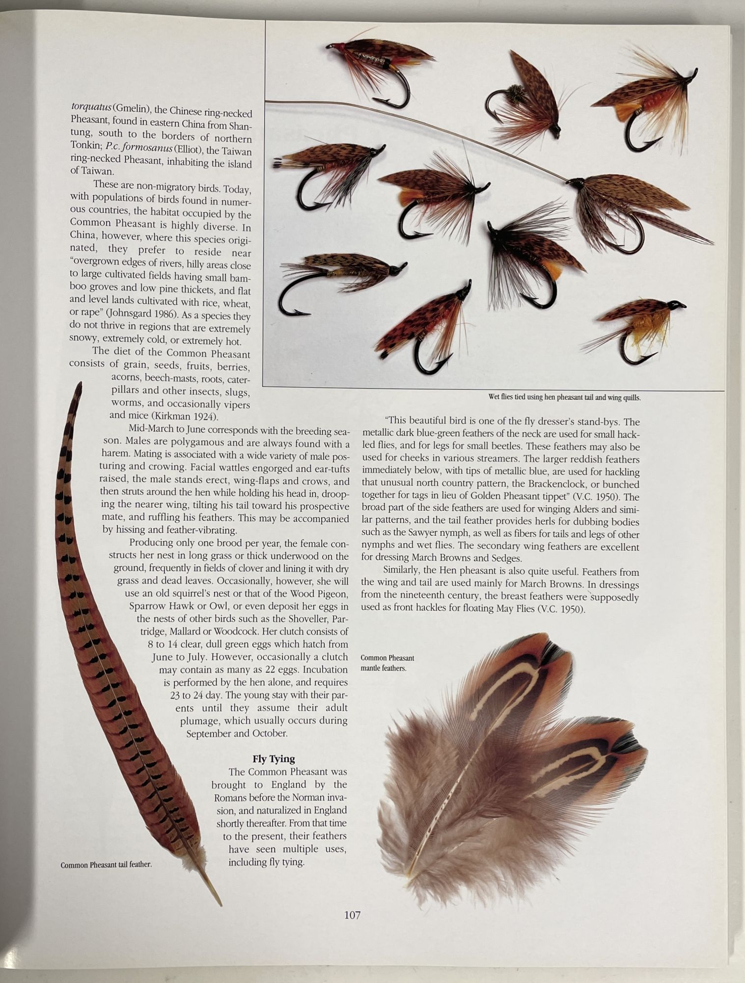 Rare and Unusual Fly Tying Materials by Paul Schmookler, Ingrid V. Sils on  InkQ Rare Books LLC