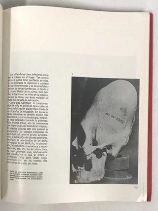 Dioses y Enfermedades (Gods and Disease: Medicine in Ancient Peru)