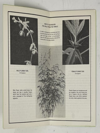 The Complete Cannabis Cultivator