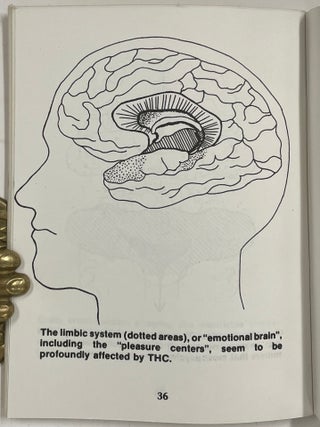 Marijuana, Sex, and Health