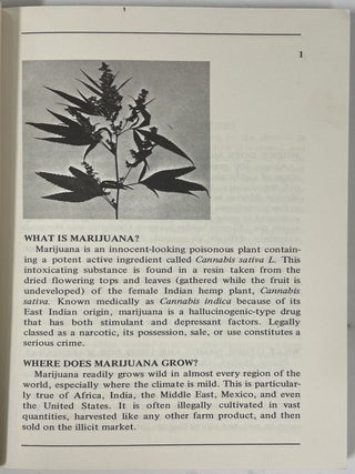 One Hundred and One Things You Should Know About Marijuana