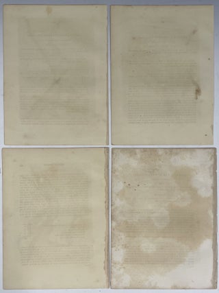 Group of Four Octavo Prints from Audubon’s Quadrupeds of America: Depicting Squirrels. Circa 1949 – 1854