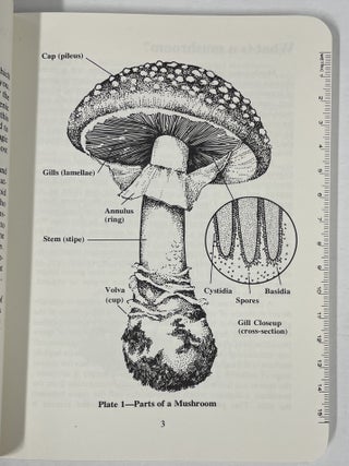Poisonous & Hallucinogenic Mushrooms
